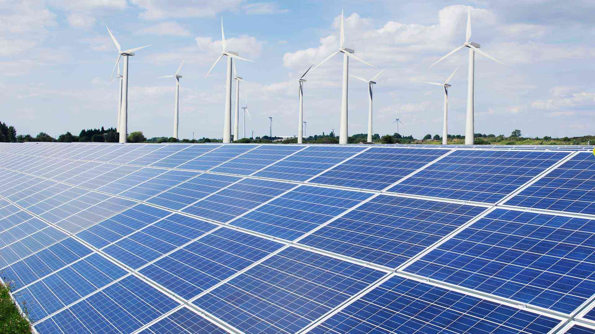 Solar panels installed in field and wind turbine are in background